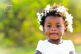 Brown Bee Photography