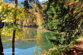 Swift streams cut through scenery of biogradska gora, green pastures and clear lakes reflecting centennial forests. Biogradska Gora Tour With Mh Travel Mh Travel Agency