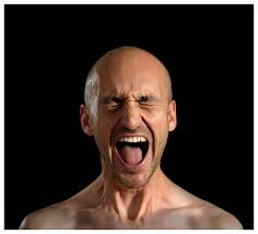 This is a Voice at the Wellcome Collection