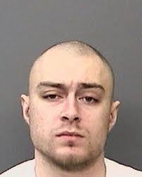 On Friday, February 4, 2022 at approximately 8:30 am, Debra Mangan (67  years) reported her son, Nicholas Mangan (27 years), poured lighter fluid 