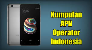 Apn merupakan kependekan dari access point name yang berarti sebuah istilah untuk menyebutkan gateway antara jaringan seluler baik itu gsm, 3g, atau 4g, dan jaringan komputer lainnya. Cara Setting Apn Xiaomi Redmi 5a Terbaru Semua Operator Sukakepo Com