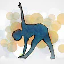 Marshall hagins and eddie stern born out of their shared curiosity at the intersection of science and yoga. I Read More Than 50 Scientific Studies About Yoga Here S What I Learned Vox