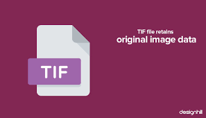 You'll see a slider appear below the format box; 15 Things You Must Know About Logo File Types