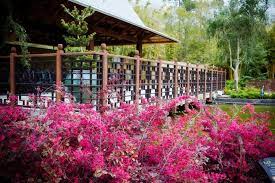Pavillion At Asian Bamboo Gardens Jacksonville Zoo And Gardens Bamboo Garden Jacksonville Zoo Botanical Gardens