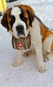 Switzerland Family Ski Vacation Skiing In Verbier With Kids Ski Family St Bernard Dogs Family Ski Holidays
