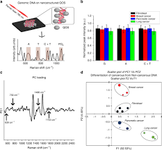 Compounds are separated by injecting a plug. Quantum Scale Organic Semiconductors For Sers Detection Of Dna Methylation And Gene Expression Nature Communications