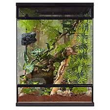 Pet Supplies Accessories And Products Online Petsmart Reptile Terrarium Terrarium Reptiles