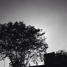5 fungsi foto background putih yang ngga kamu tau. Hitam Putih Kehidupan Konongambarlawa Iphoneography Celestial Clouds