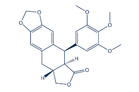 Image result for Podophyllotoxin