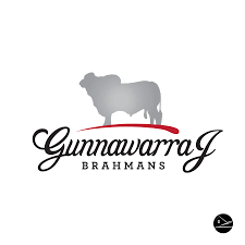 We are your trusted source of brahman cattle for sale in florida and brahman cattle for sale in texas. Gunnawarra J Brahmans Logo By Ranch House Designs Ranch House Designs Cow Logo Farm Logo