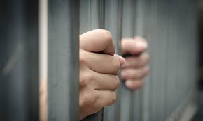 How to use perjury in a sentence. Broward Judge Shouldn T Have Jailed Man For Perjury Appeals Court Rules Daily Business Review
