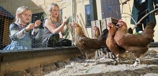 Danish railway museum and odense zoo are also. H C Andersen S Odense Visitfyn Guides You To The Top Attractions