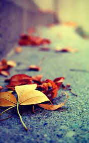 Best hd wallpaper, download best hd desktop wallpapers,widescreen wallpapers for free in high. Hd Wallpaper 1080p Fur Mobile Vertikale Full Hd Wallpaper 1600x2560 Wallpapertip