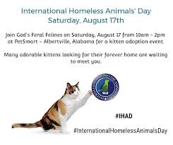 Ihad Internationalhomelessanimalsday Alabama God S Feral Felines Date Saturday August 17 Time 10 00 Am 2 00 Pm Kittens Cutest Kitten Adoption Petsmart