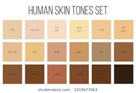 skin undertones chart tone images stock photos vectors off