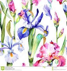 Wildflower Iris Flower Pattern In A Watercolor Style Stock Illustration Illustration Of Fabric Floral 1010 Iris Flowers Watercolor Pattern Flower Patterns