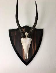 Antwort auf waidmannsheil → good hunting! Waidmannsdank Startseite Facebook