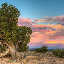 A Nearly Full Moon Shines Through Colorful Clouds At The White Mesa Trail System In New Mexico These Rugged Mountains Colorful Clouds Beautiful Sky Scenery