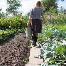 A garden with as an alternative to newspaper, i prefer cardboard. How To Make A Lasagna Garden