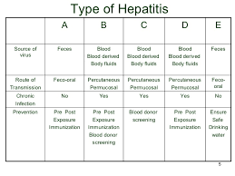 Hepatitis Ppt Final