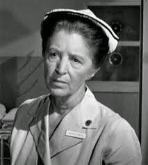 Television's New Frontier: The 1960s: February 2015