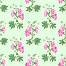 Background floral watercolor pink floral background pink background pink floral watercolor background pink watercolor floral watercolor flower decoration decorative nature backdrop ornament plant ornate decor beautiful leaf template pattern abstract clip art element style vintage modern spring. Pink Floral Wallpaper Watercolor Free Stock Photo Public Domain Pictures