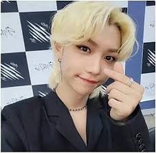 Stray Kids Hyunjin Felix Collier ras du cou en perles Style Kpop Cosplay  Edelstahl en acier inoxydable, cristal, cristal, Cristal, Cristal :  Amazon.com.be: Mode