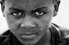 Best Cardano Staking Pool 2026