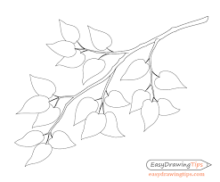 Feel free to explore, study and enjoy paintings with paintingvalley.com How To Draw A Tree Branch With Leaves Easydrawingtips