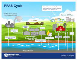 Public water system pfas information and resources. Dep Involvement
