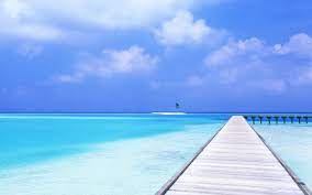 Ultra hd wallpapers 4k, 5k and 8k backgrounds for desktop and mobile. Amazing Ocean Wallpapers Pc Desktop Desktop Images Desktop Ocean Wallpaper Hd 2560x1600 Wallpaper Teahub Io