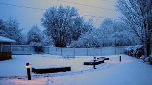 Check spelling or type a new query. Your Pics Snow In Portland And Other Areas Of Oregon And Washington Kgw Com