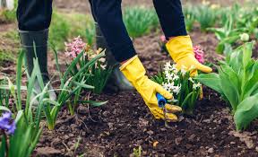 Finden sie jetzt 173 zu besetzende garten landschaftsbau jobs in teltow auf indeed.com, der weltweiten nr. Gartenbauer Teltow Gartenbau Teltow
