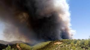 Antalya osb'de son dakika yangın haberi! Antalya Da Orman Yangini Son Dakika
