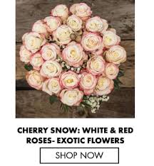 There is good reason red roses are given to sweethearts. Red Rose And White Rose Meaning