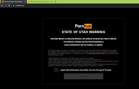 PornWarning: Utah Blazes Trail with Simple, Effective Label Law