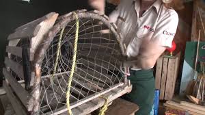 Shop for lobster trap wall art from the world's greatest living artists. Build A Lobster Trap Newfoundland And Labrador Canada Youtube