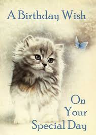 Happy Birthday Greetings Card Cute Fluffy Cat Kitten Watches Butterfly Ebay Compilation of the best videos about coco cat and her cute kittens. happy birthday greetings card cute fluffy cat kitten watches butterfly ebay