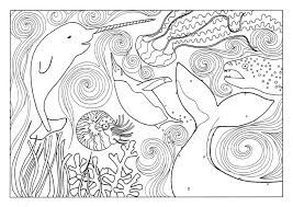 Learn to add interest with our color theme garden ideas. Narwahl Archives Lorna Johnstone Art