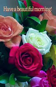Just click on most images on this site to enlarge them and see their credit source. Pin By Ulla Britt Nihlen On Good Morning Beautiful Rose Flowers Beautiful Flower Names Pretty Flowers