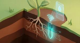 Soil Moisture Monitoring & Automatic Plant Irrigation