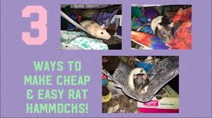 If you are limited in crafting skills or time, these will be great for you, as there is minimal input needed to make them. 3 Cheap Easy Ways To Make Rat Hammocks Youtube