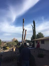 Find content updated daily for brothers tree service. Badger Brothers Tree Service Llc Home Facebook