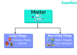Earth is mostly made up of nonliving substances such as rock and metal. What Is Matter Science Matter In Our Surroundings Class 9 Notes