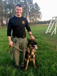Pasco Sheriff Pascosheriff Twitter Military Working Dogs Police Dogs Working Dogs