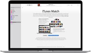 The site owner hides the web page description. Itunes Match Abonnieren Apple Support