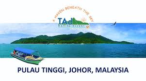 Tad marine resort is naturally sandwiched between the sparkling blue. William Island Paradise Ent Tinggi Island Tad Marine Resort
