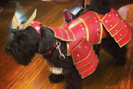 Gli inquirenti erano in cerca di un uomo vestito in abiti. Costume Da Cane Samurai