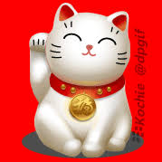  Download Wallpaper Kucing Keberuntungan Wallpaper Hp