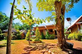 Lanta yoga offers drop in classes, online classes and an online shop. Fruit Tree Lodge Ko Lanta Informationen Und Buchungen Online Viamichelin